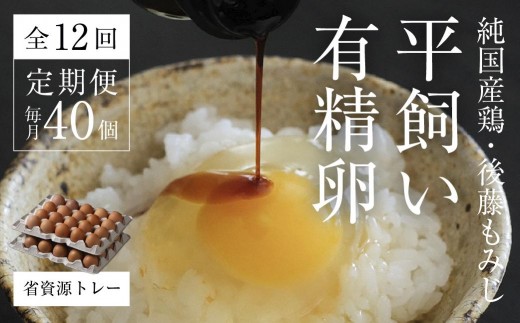 【全12回定期便】平飼い有精卵 省資源トレー 40個 《西粟倉村》【株式会社点々】t-SS-DqDA