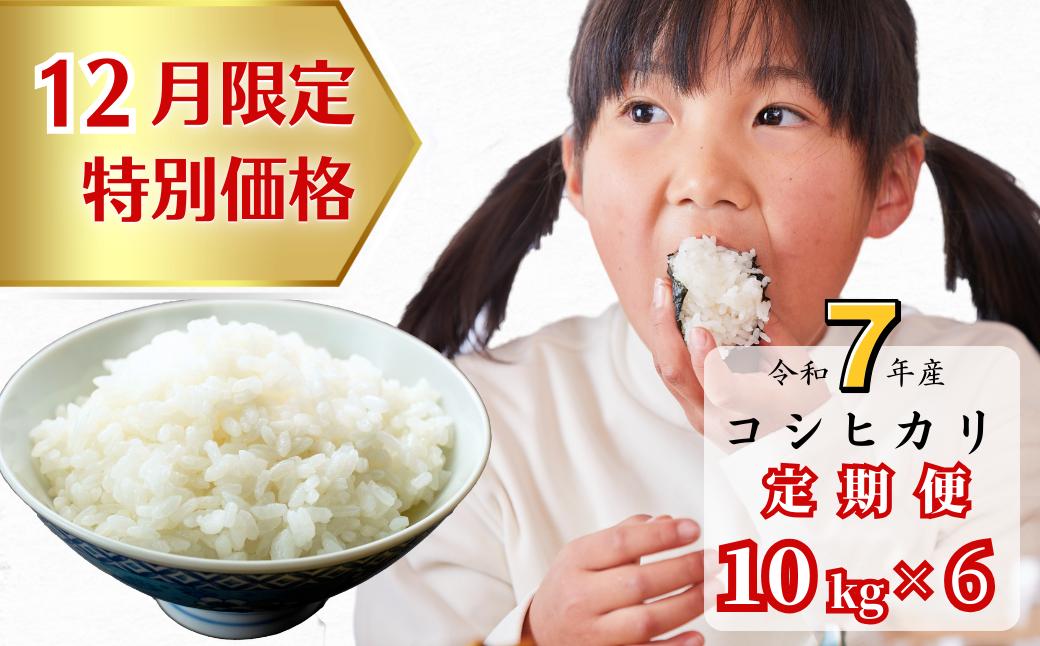 《12月限定特別価格》【6回定期便】白米 10kg 令和7年産 コシヒカリ 岡山 あわくら源流米 K-ag-CEHA