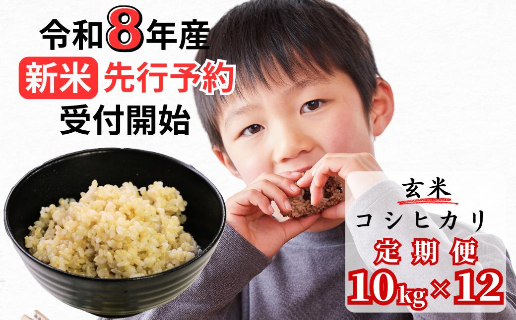 【令和8年産新米・先行予約】【12回定期便】あわくら源流米 コシヒカリ 玄米 10kg｜西粟倉村産・昼夜寒暖差が育む甘み｜ふるさと納税 K-ac-DFZA