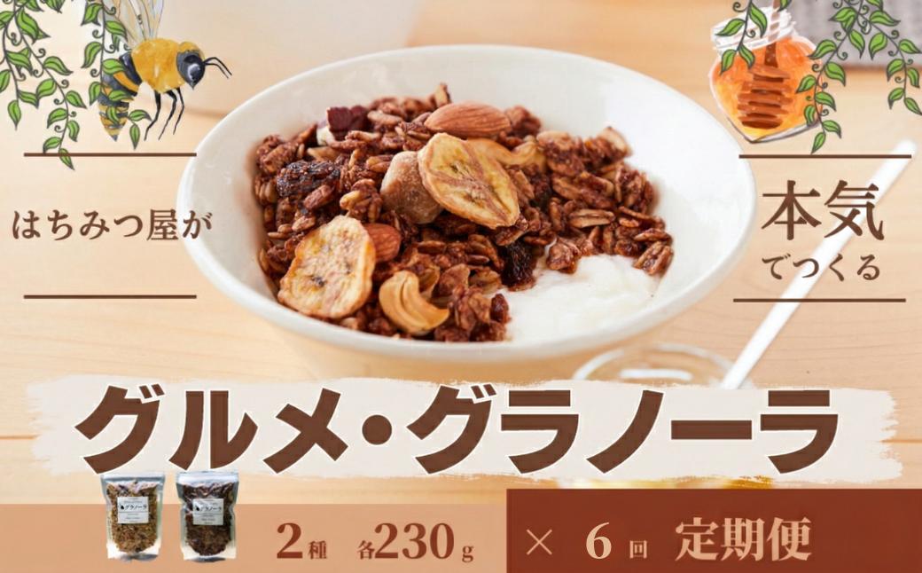 【6回定期便】グラノーラ 無添加 国産はちみつ使用【ノラノーラ ミケ&クロ】ココナッツ・ショコラ（大）2袋セット（230g×2） A-MT-C03A