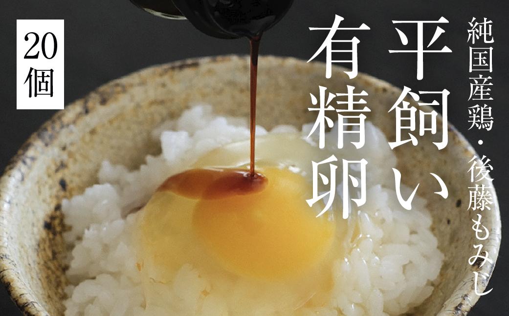 平飼い有精卵 20個《西粟倉村》【株式会社点々】t-SS-AmDA