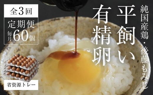 【全3回定期便】平飼い有精卵 省資源トレー 60個 《西粟倉村》【株式会社点々】t-SS-BrDA