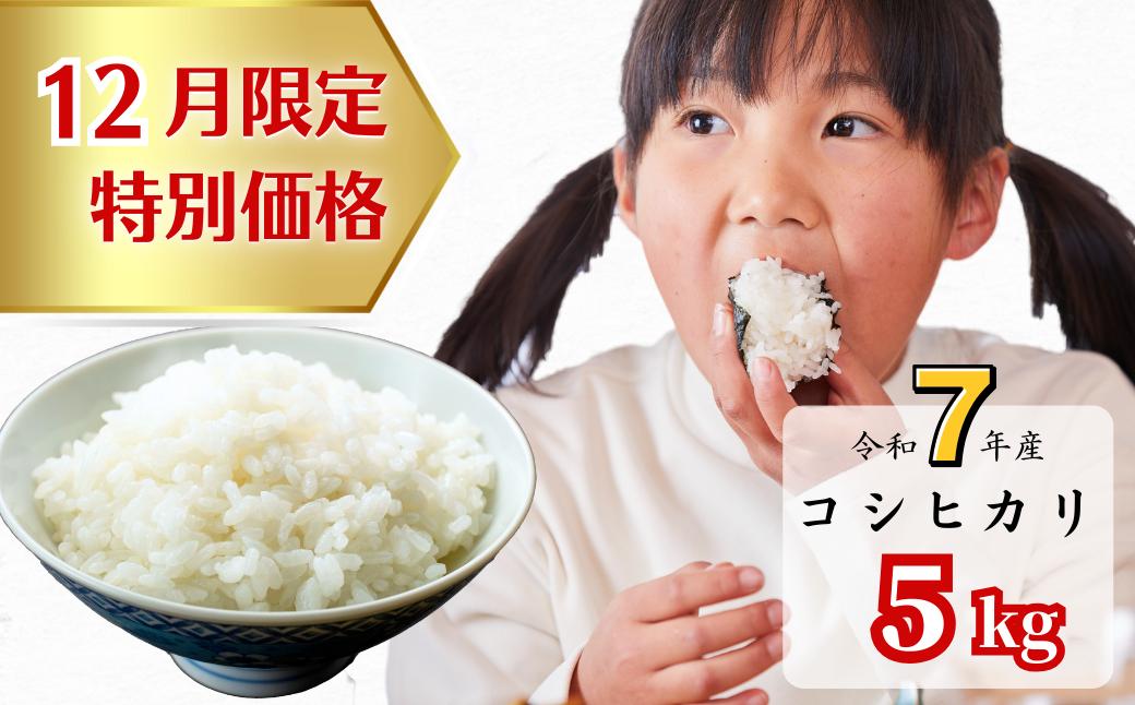 《12月限定特別価格》白米 5kg 令和7年産 コシヒカリ 岡山 あわくら源流米 K-af-AEHA