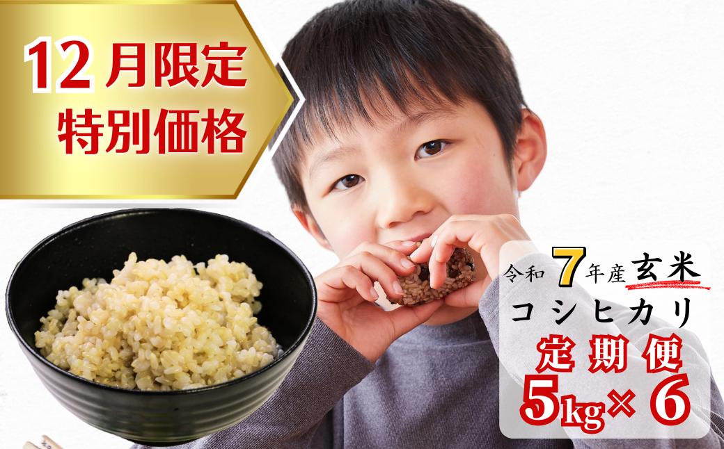 《12月限定特別価格》【6回定期便】玄米 5kg 令和7年産 コシヒカリ 岡山 あわくら源流米 K-ab-CEHA