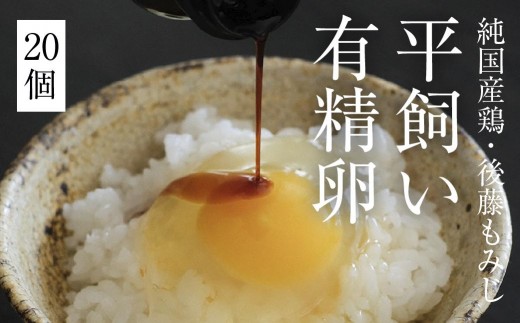 平飼い有精卵 20個《西粟倉村》【株式会社点々】t-SS-AmDA