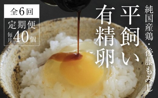 【全6回定期便】平飼い有精卵 40個《西粟倉村》【株式会社点々】t-SS-CoDA