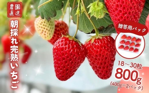 西粟倉村 完熟いちご 贈答用  800g(400g×2)  M-FI-A07A