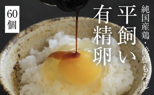 平飼い有精卵 60個[西粟倉村][株式会社点々]t-SS-ApDA