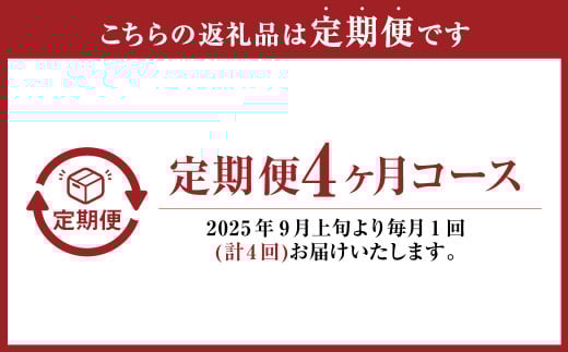 【4回定期便】岡山県産 フルーツ定期便コース （ニューピオーネ ・ シャインマスカット ・ 紫苑 ・ あたご梨） 【2025年9月上旬発送開始】 ／ 4回 葡萄 ぶどう マスカット 晴王 梨 なし 果物 果実 フルーツ 旬 定期便 岡山県 美咲町 冷蔵 常温