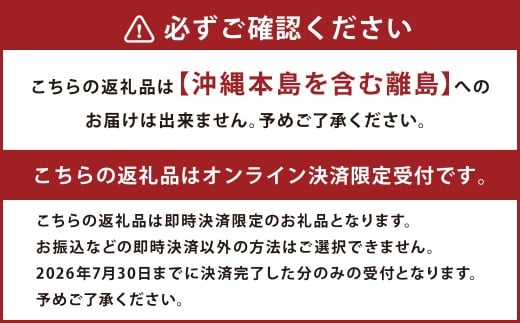 オーロラブラック 2kg ぶどう 葡萄 フルーツ 果物 岡山県 岡山県産 2026年 先行予約 【2026年8月上旬-9月下旬発送予定】