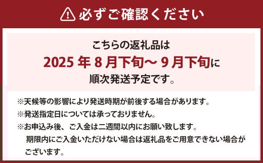 《種なし》 岡山県産 クイーンニーナ 手軽なカップタイプ 約300g × 4カップ 計約1.2kg 【2025年8月下旬～2025年9月下旬発送予定】 ／ ぶどう ブドウ 葡萄 大粒 種なし 種無し フルーツ 果物 くだもの 果実 カップ入り カップ お手軽