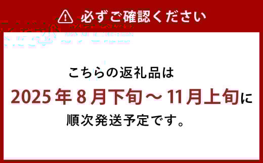 シャインマスカット 晴王 1房 （800g以上） 化粧箱入り 【2025年8月下旬～11月上旬発送予定】 ／ マスカット 葡萄 ぶどう 果物 果実 フルーツ 種なし 皮ごと 大粒 岡山県 美咲町 冷蔵
