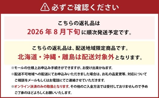 ぶどう 2026年 先行予約 ニュー ピオーネ 2房 合計1.2kg以上 【2026年8月下旬発送予定】 ／ ブドウ 葡萄 ニューピオーネ 岡山県産 国産 フルーツ 果物 ギフト 河本農園 岡山県 美咲町 冷蔵