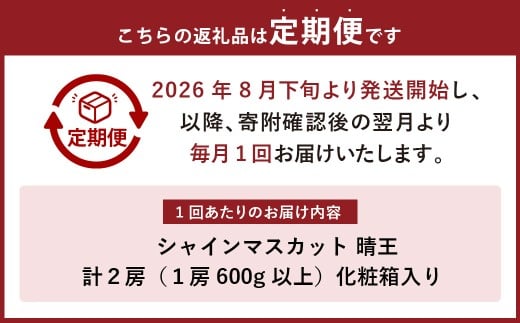 【2回定期便】岡山県産 シャインマスカット 晴王 計2房 （1房600g以上） 【2026年8月下旬発送開始】 ／ 2回 マスカット 葡萄 ぶどう 果物 果実 フルーツ 定期便 岡山県 美咲町 冷蔵