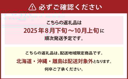 岡山県産 ニューピオーネ 2房 （1房480g以上） 約1kg 化粧箱入り 【2025年8月下旬～10月上旬発送予定】 ／ 葡萄 ぶどう 果物 果実 フルーツ 種なし 岡山県 美咲町 冷蔵