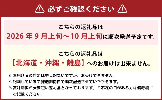 詰合 ／ ニューピオーネ 2房 ・ シャインマスカット 晴王 2房 （1房各480g以上） 化粧箱入り 【2026年9月上旬～10月上旬迄発送予定】／ 葡萄 ぶどう マスカット 果物 果実 フルーツ 種なし 詰め合わせ 詰合せ 岡山県 美咲町 冷蔵