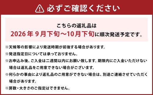 【先行予約】 厳選 シャインマスカット 約800g 1房入り ／ マスカット ぶどう ブドウ フルーツ 【2026年9月下旬-10月下旬発送予定】