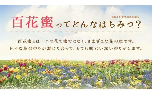 【先行予約】 生はちみつ専門店ふくみつの国産純粋はちみつ 1kg 【年間13,000本の販売実績！】 【2026年7月上旬-10月下旬発送予定】 ／ 生はちみつ 蜂蜜 はちみつ ハチミツ 国産 岡山県 美咲町 常温