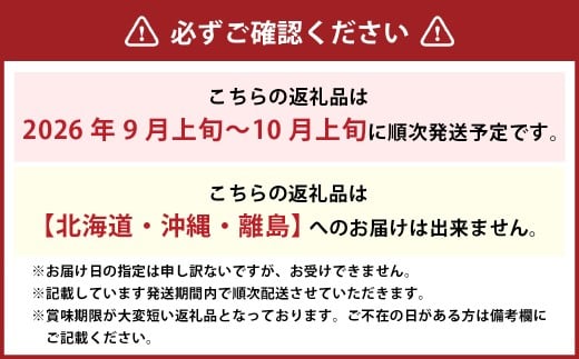 ぼっけえ大粒 ニューピオーネ 1房 （800g以上） 化粧箱入り 【2026年9月上旬～10月上旬迄発送予定／ 葡萄 ぶどう 果物 果実 フルーツ 種なし 大粒 岡山県 美咲町 冷蔵