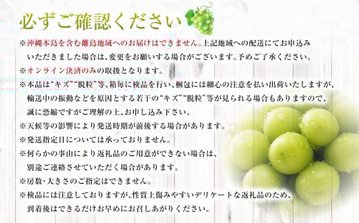 シャインマスカット 晴王 2kg ぶどう 葡萄 フルーツ 果物 岡山県 岡山県産 2026年 先行予約 【2026年9月下旬-10月下旬発送予定】