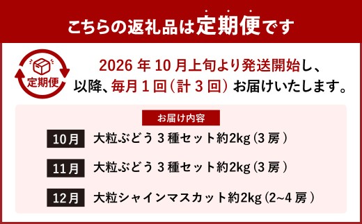 【 3回定期便 】 大粒ぶどうの詰合せ 約2kg×3回 計約6kg シャインマスカット マスカット ブドウ ぶどう 葡萄 果物 くだもの ピオーネ クイーンニーナ 定期便 詰合せ 大粒 【 2026年10月上旬～12月上旬迄発送予定 】
