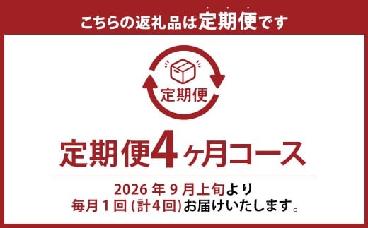 【果物定期便4回】（ニューピオーネ・晴王・紫苑・あたご梨）
