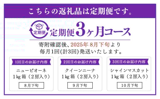【定期便3回】 ［種なし］ 岡山県産 ニューピオーネ ・ クイーンニーナ ・ シャインマスカット 1kg箱（2房入り） 【2025年8月下旬発送開始】 ／ ぶどう ブドウ 葡萄 大粒 種なし 種無し フルーツ 果物 くだもの 果実