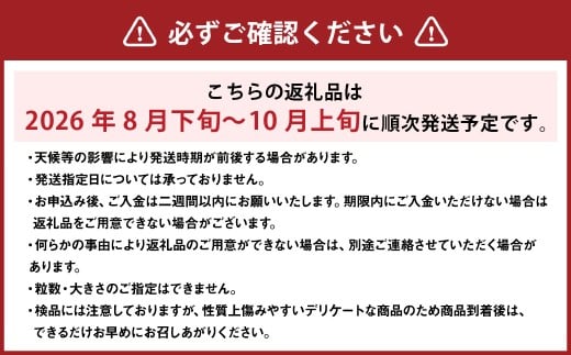 ご家庭用 シャインマスカット 2～3房 （1kg以上） 【2026年8月下旬から10月上旬頃発送予定】 ／ くだもの 果物 果実 フルーツ ぶどう ブドウ 葡萄 マスカット 冷蔵 岡山県 美咲町