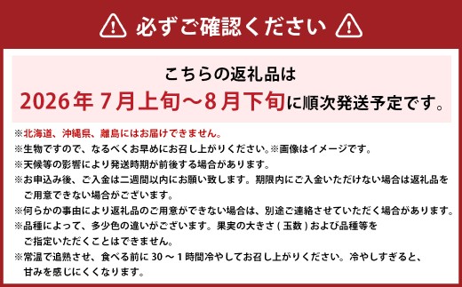 岡山白桃 エース 3玉 × 約200g 計約600g 岡山県産 （早生種・中生種） 【2026年7月上旬～8月下旬迄発送予定】 ／ 白桃 桃 もも 果物 果実 フルーツ 岡山県 美咲町 冷蔵