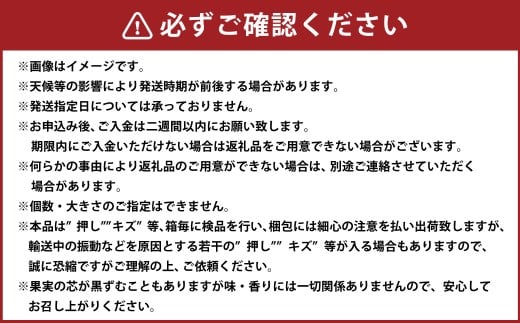 鴨梨 （ヤーリー） 3～5玉 約2kg 贈答箱 ／ 梨 なし ナシ 果物 【2025年11月下旬～12月下旬発送予定】