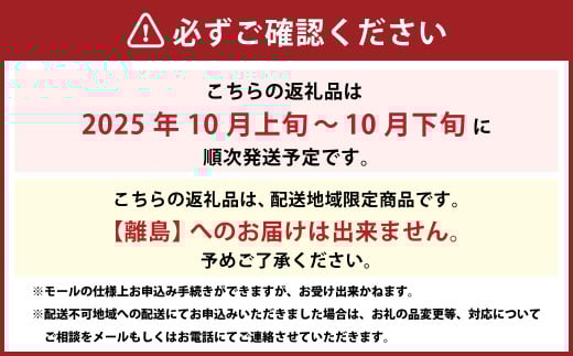 【先行予約】 希少品種の岡山の白桃 ・ CX 1.5kg箱（約4個～6個） 【2025年10月発送予定】 ／ 桃 もも モモ はくとう シーエックス 果物 くだもの フルーツ デザート 冷蔵