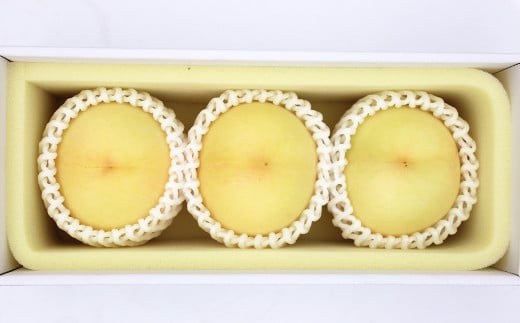 清水白桃 エース 3玉 約750g 【2025年7月上旬～7月下旬発送予定】 ／ 白桃 桃 もも モモ