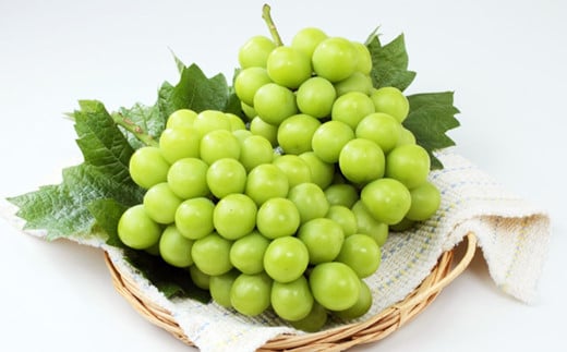 シャインマスカット 2房 約1.2kg 【2025年9月上旬～10月下旬発送予定】 ／ マスカット 葡萄 ブドウ 種無し 種なし