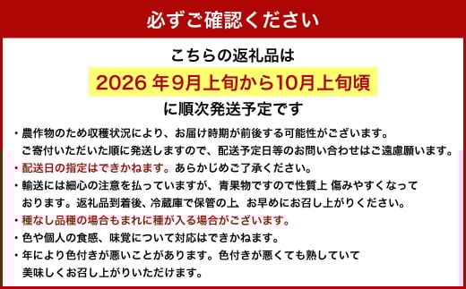 【ご 家庭 用 】 オーロラブラック 2～3房 1.2kg 【 2026年9月上旬から10月上旬頃発送予定 】 ／ 果物 くだもの フルーツ ぶどう ブドウ 葡萄 大粒 甘味が強い 甘い 果汁 食べ応え 岡山県 美咲町