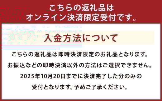 紫苑 2kg ぶどう 葡萄 フルーツ 果物 岡山県 岡山県産 2025年 先行予約 【2025年10月上旬-11月下旬発送予定】