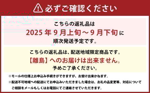 【先行予約】 しっかりした果肉と果汁たっぷりの岡山の白桃 ・ 恵白 1.5kg箱（約4個～6個） 【2025年9月上旬～2025年9月下旬発送予定】 ／ 桃 もも モモ はくとう めぐみはく 千曲白鳳 ちくまはくおう 川中島白桃 かわなかじまはくとう 交配種 果物 くだもの フルーツ デザート 冷蔵