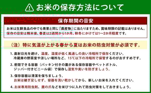 備前乙女米 白米 30kg×1袋【2025年10月下旬～2026年9月下旬発送予定】 ／ お米 米 おこめ こめ コメ ご飯 精米 ライス モチモチ 石原果樹園 岡山県 美咲町