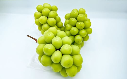 大粒 シャインマスカット 2～4房 計約2kg 【2026年10月上旬から12月下旬頃迄発送予定】 ／ マスカット 葡萄 ブドウ 種無し 種なし