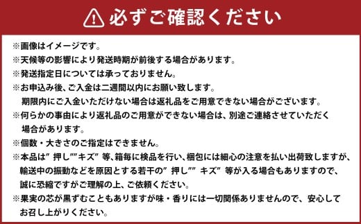 あたご梨 2～3玉 ・ 鴨梨 （ヤーリー） 3～6玉 詰合せ 合計約4kg 贈答箱 ／ 愛宕梨 梨 なし ナシ 果物 【2025年11月下旬～12月下旬発送予定】