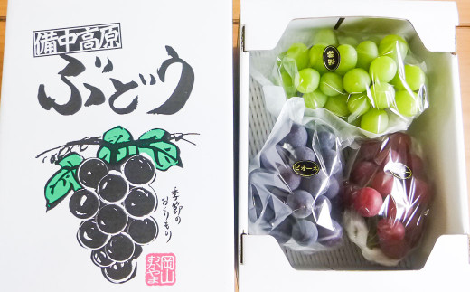 訳あり 大粒 ぶどう 3種 セット 3～4房 計約1.8kg シャインマスカット・ピオーネ等 おまかせ【2026年10月上旬から発送予定】 ／ マスカット ピオーネ 葡萄 ブドウ 種無し 種なし