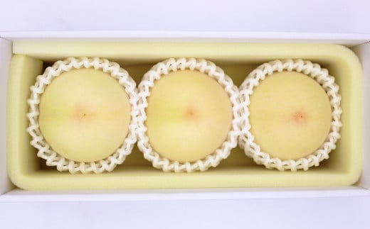 岡山白桃 ロイヤル 3玉 約800g 【2025年7月上旬～7月下旬発送予定】 ／ 白桃 桃 もも モモ