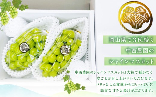 【先行予約】 岡山県産 シャインマスカット 2kg 1箱 ／ フルーツ 果物 くだもの 食品 人気 おすすめ 【2026年9月下旬-10月下旬発送予定】