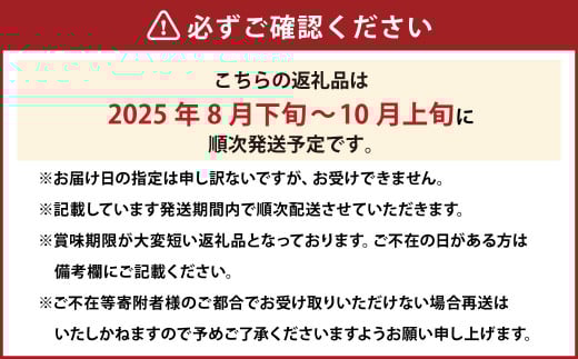 岡山県産 ぶどう詰合 ／ ニューピオーネ 1房 ・ シャインマスカット 晴王 1房 （各480g以上） 化粧箱入り 【2025年8月下旬～10月上旬発送予定】 ／ 葡萄 ぶどう マスカット 果物 果実 フルーツ 詰め合わせ 詰合せ 岡山県 美咲町 冷蔵
