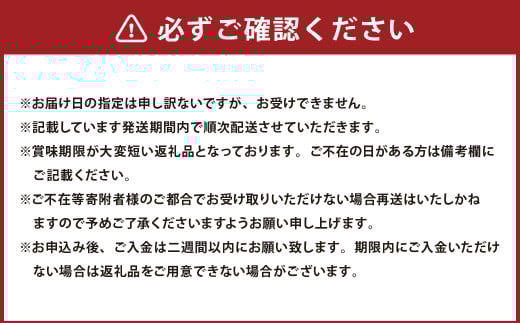 岡山県産 ニューピオーネ 2房 （1房480g以上） 約1kg 化粧箱入り 【2025年8月下旬～10月上旬発送予定】 ／ 葡萄 ぶどう 果物 果実 フルーツ 種なし 岡山県 美咲町 冷蔵