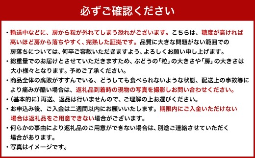 【ご 家庭用 】 シャイン ＆ オーロラ 1.2キロ 【 2026年9月上旬から10月上旬頃発送予定 】 ／ 果物 くだもの フルーツ ぶどう ブドウ 葡萄 シャインマスカット 食べ比べ セット 大粒 甘味が強い 甘い 果汁 食べ応え 岡山県 美咲町