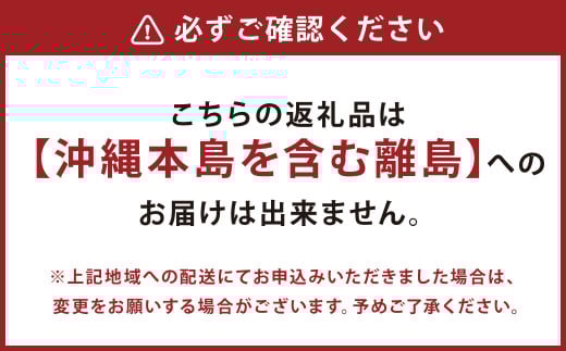 紫苑 2kg ぶどう 葡萄 フルーツ 果物 岡山県 岡山県産 2025年 先行予約 【2025年10月上旬-11月下旬発送予定】