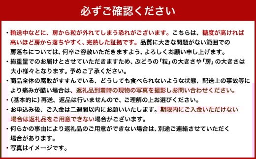 【ご 家庭 用 】 オーロラブラック 2～3房 1.2kg 【 2026年9月上旬から10月上旬頃発送予定 】 ／ 果物 くだもの フルーツ ぶどう ブドウ 葡萄 大粒 甘味が強い 甘い 果汁 食べ応え 岡山県 美咲町