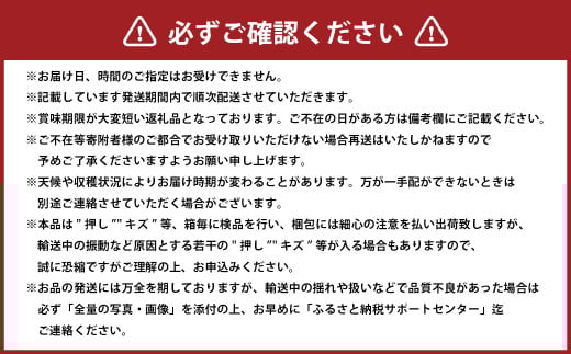 岡山白桃 エース 4～6玉 約1kg 岡山県産 （早生種・中生種） 【2026年7月上旬～8月下旬迄発送予定】 ／ 白桃 桃 もも 果物 果実 フルーツ 岡山県 美咲町 冷蔵