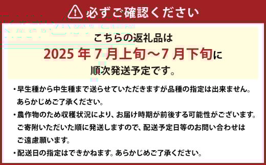 岡山白桃 ロイヤル 3玉 約800g 【2025年7月上旬～7月下旬発送予定】 ／ 白桃 桃 もも モモ