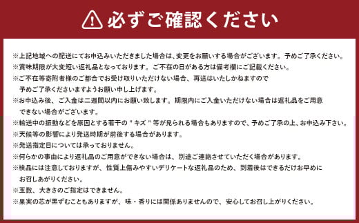 岡山県産 あたご梨 2玉 （約1.7kg） 化粧箱入り 【2025年11月下旬～12月下旬発送予定】 ／ なし 和梨 果物 果実 フルーツ 大玉 岡山県 美咲町 常温